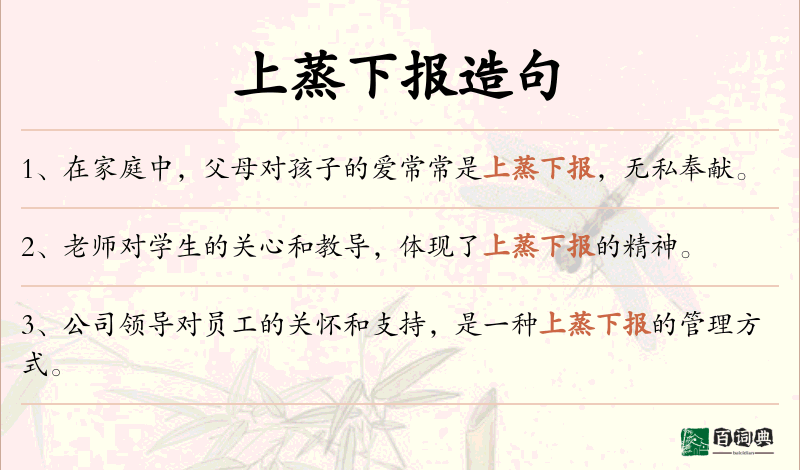 上蒸下报