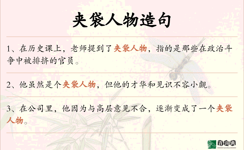夹袋人物