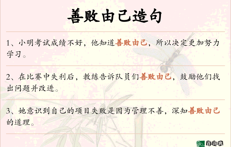 善败由己