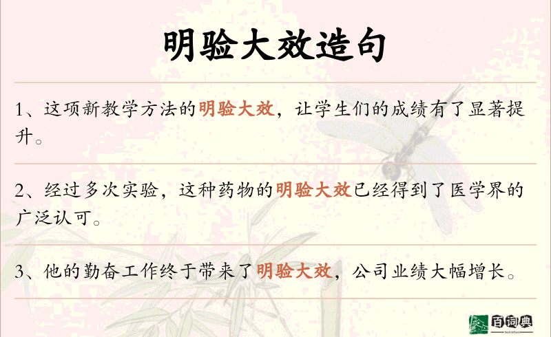 明验大效