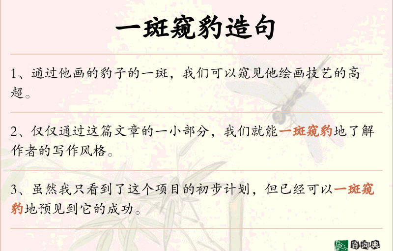 一斑窥豹