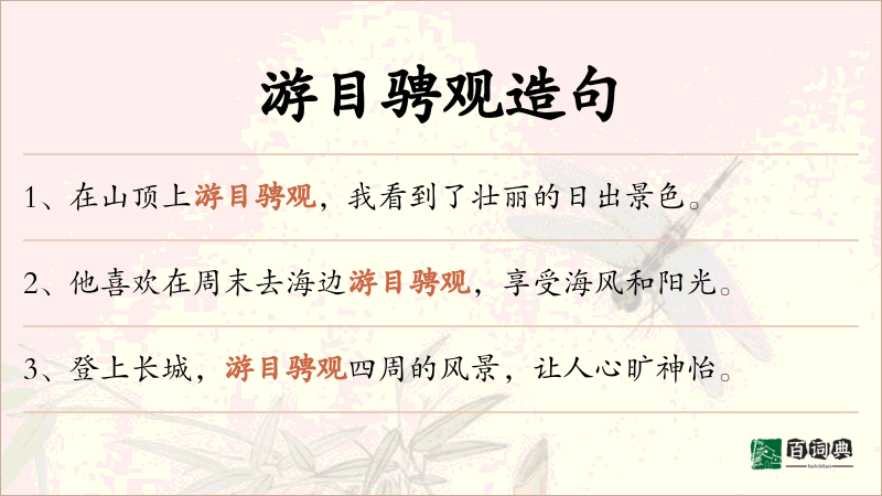 游目骋观