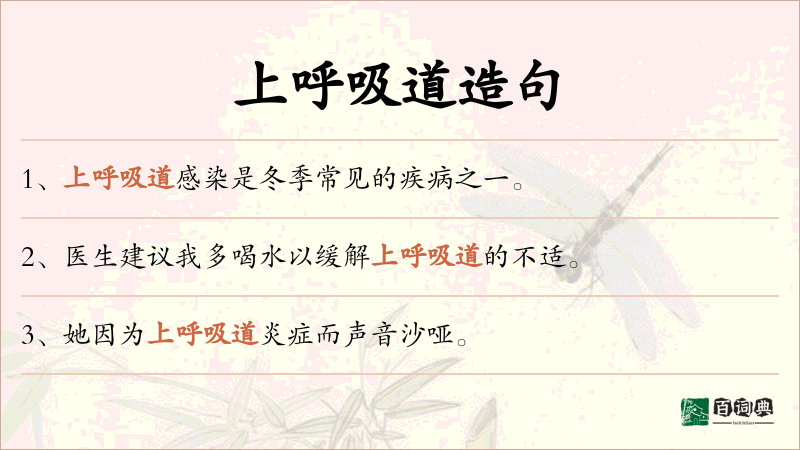 上呼吸道