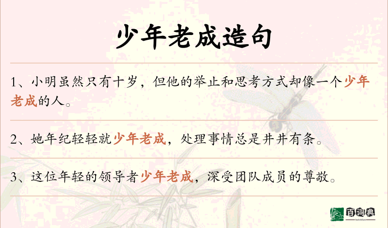 少年老成
