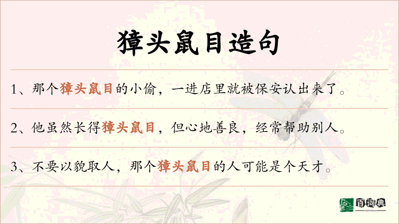 獐头鼠目