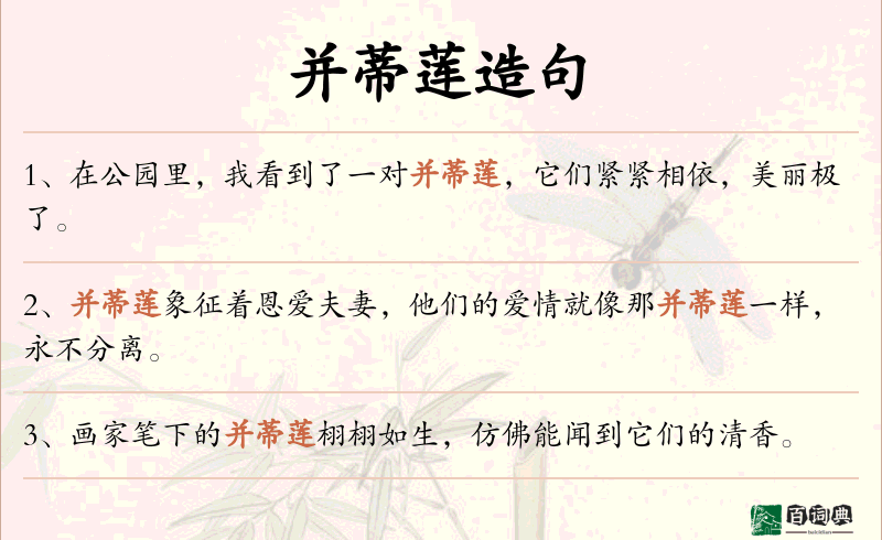 并蒂莲