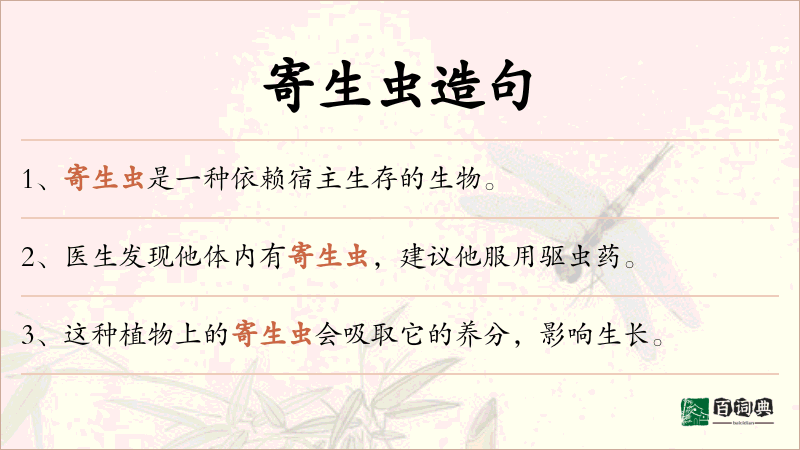 寄生虫