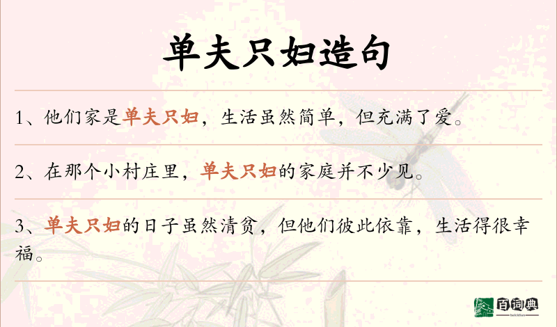 单夫只妇