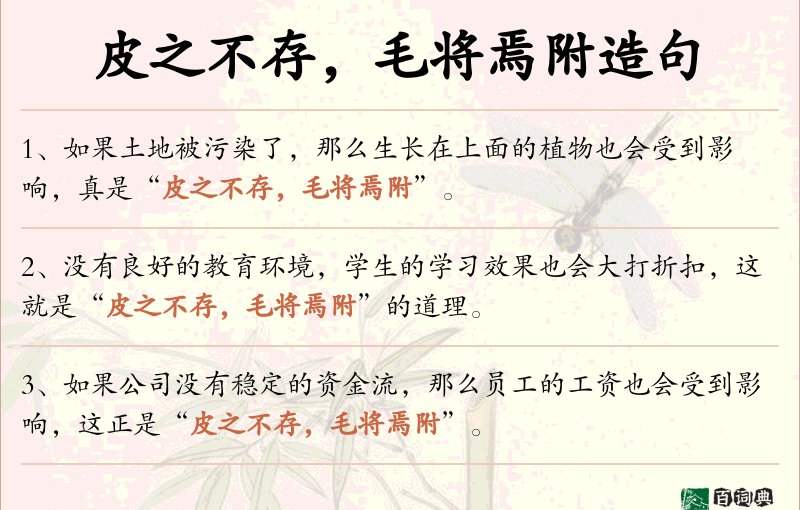 皮之不存，毛将焉附
