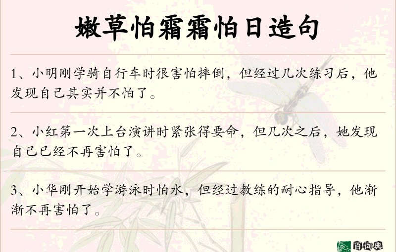 嫩草怕霜霜怕日