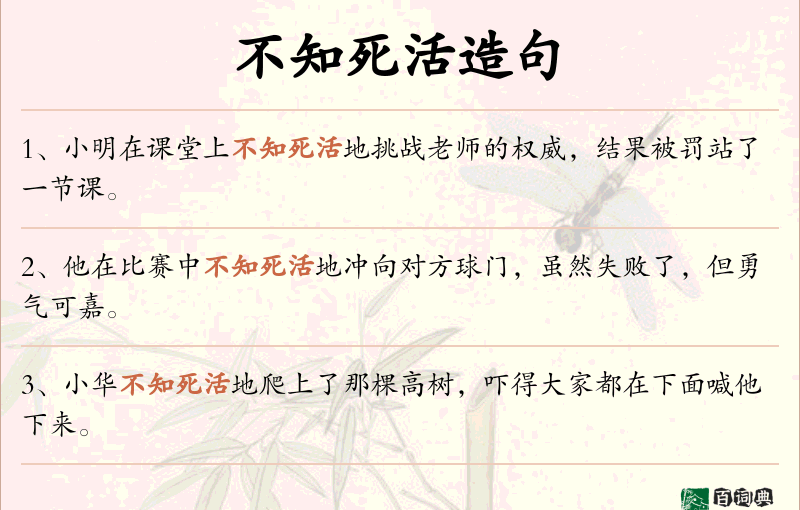 不知死活