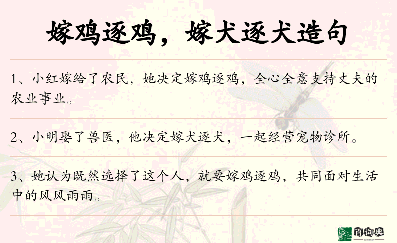 嫁鸡逐鸡，嫁犬逐犬
