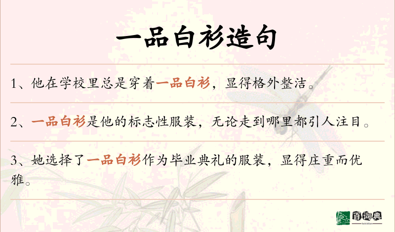 一品白衫