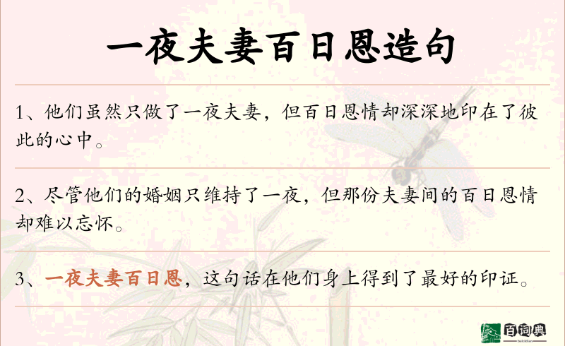 一夜夫妻百日恩