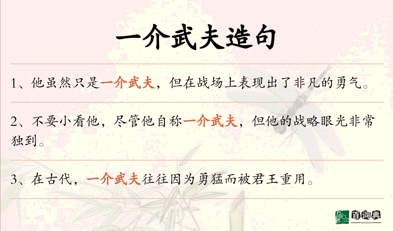 一介武夫