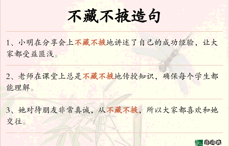 不藏不掖