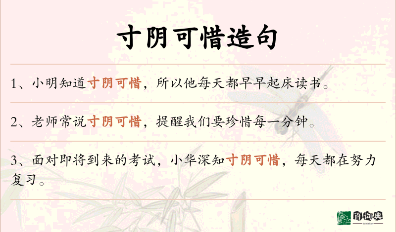 寸阴可惜