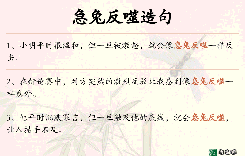 急兔反噬