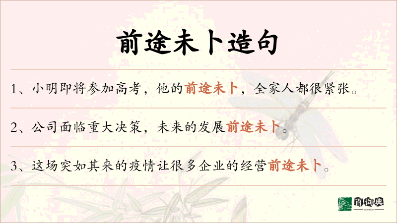 前途未卜