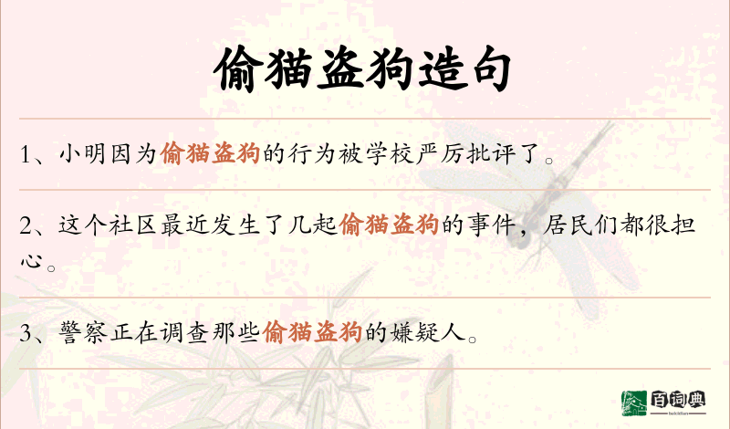 偷猫盗狗