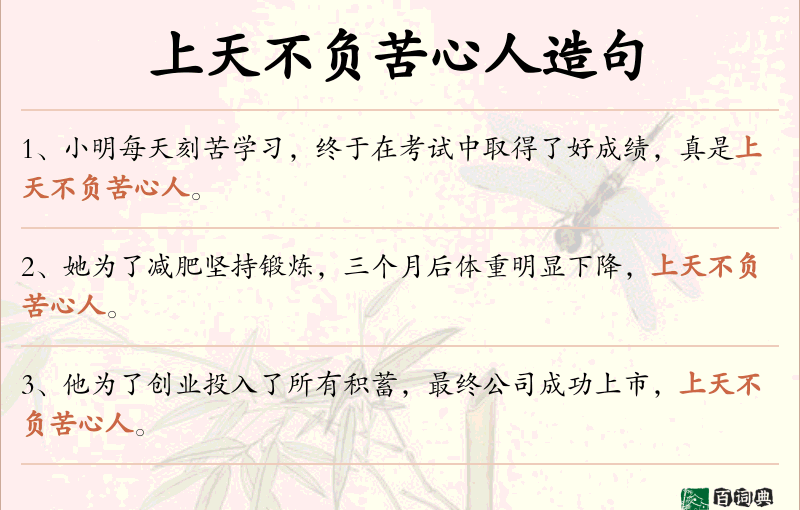 上天不负苦心人