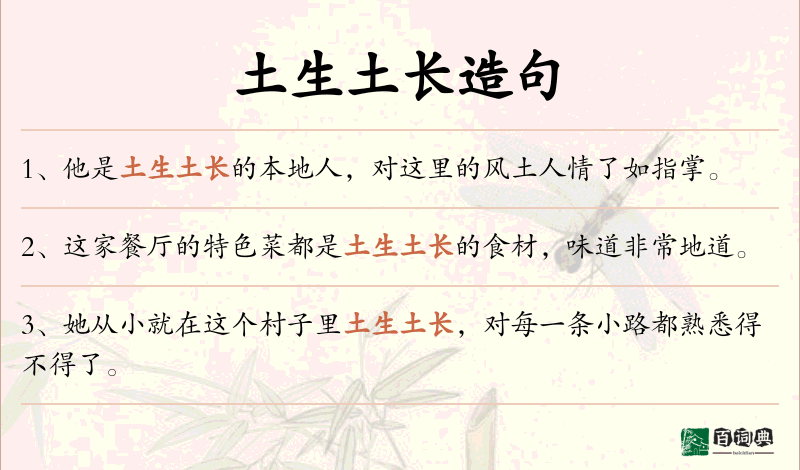 土生土长