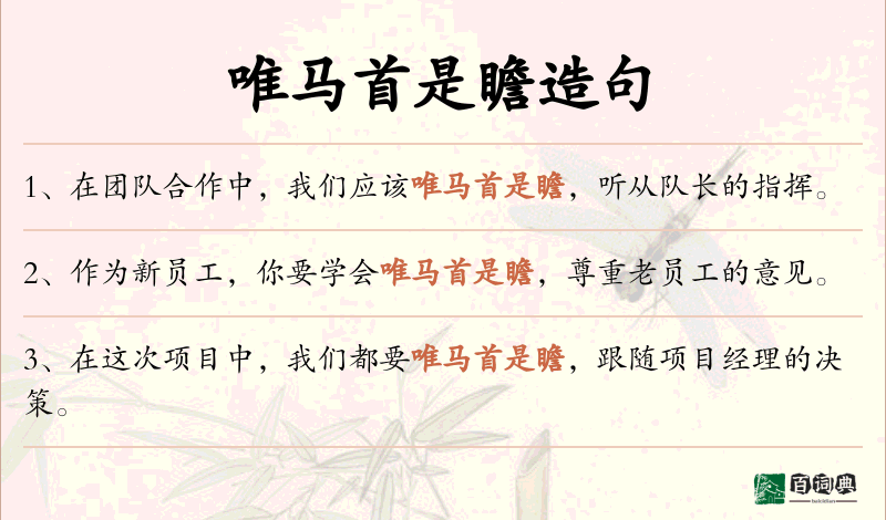 唯马首是瞻