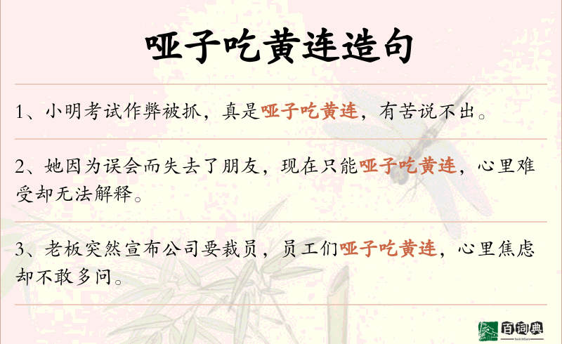 哑子吃黄连