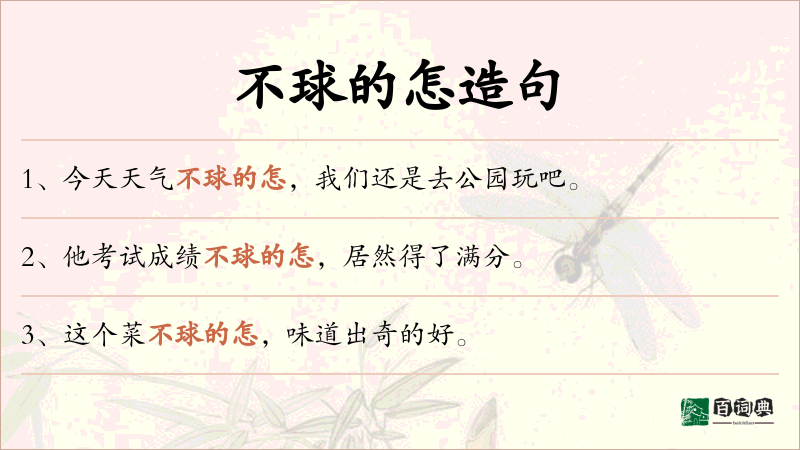 不球的怎