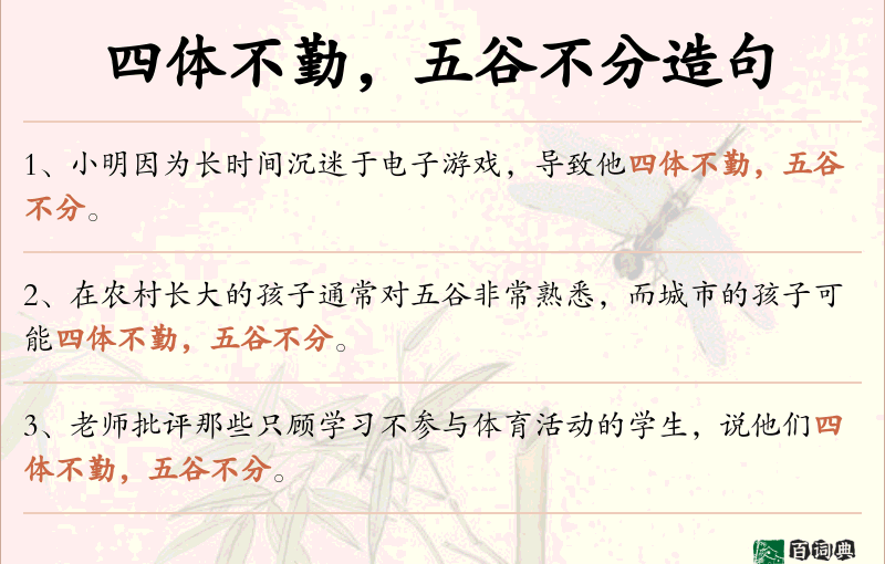 四体不勤，五谷不分