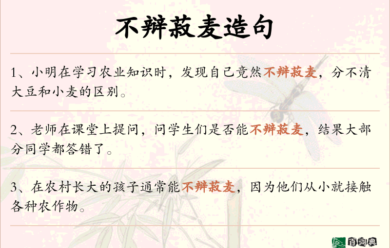 不辩菽麦