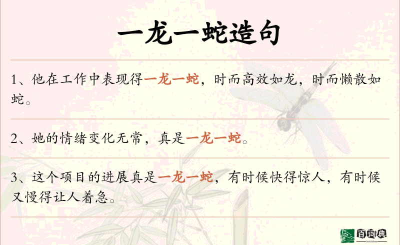 一龙一蛇