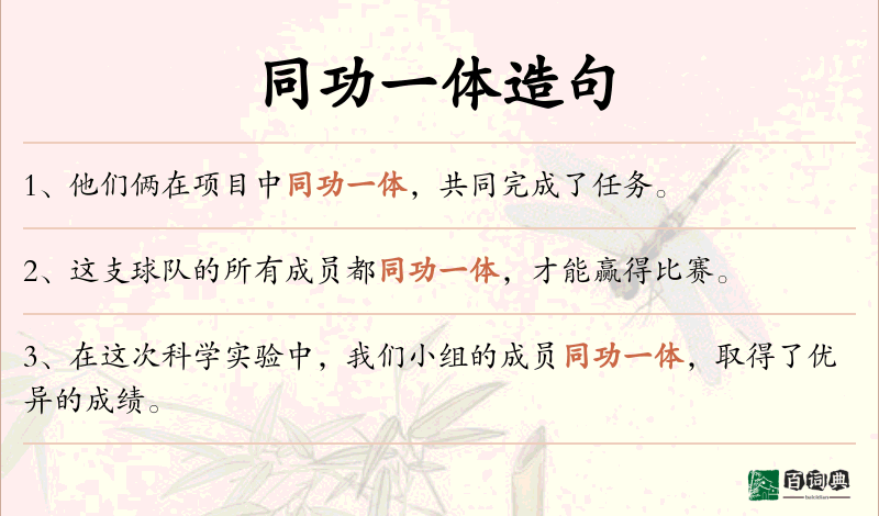 同功一体