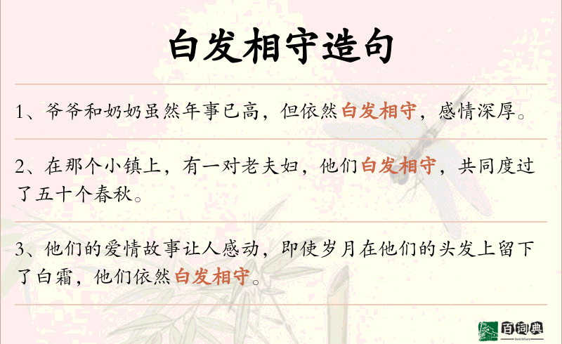 白发相守