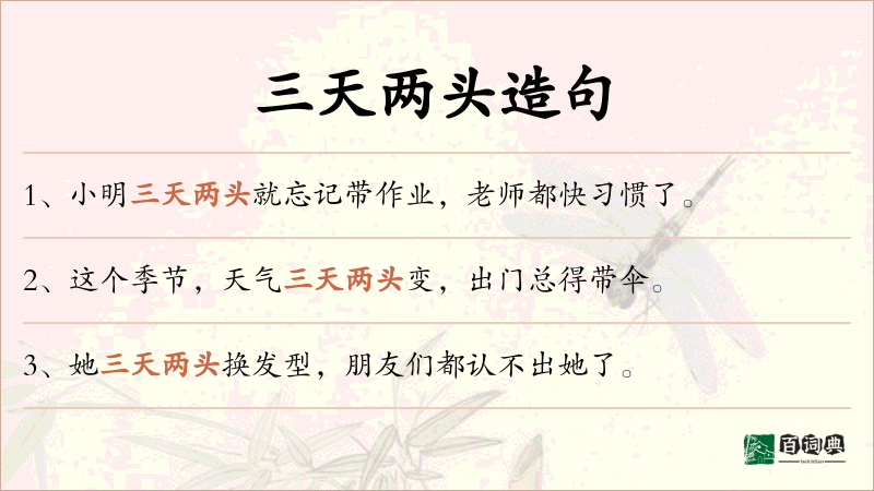 三天两头
