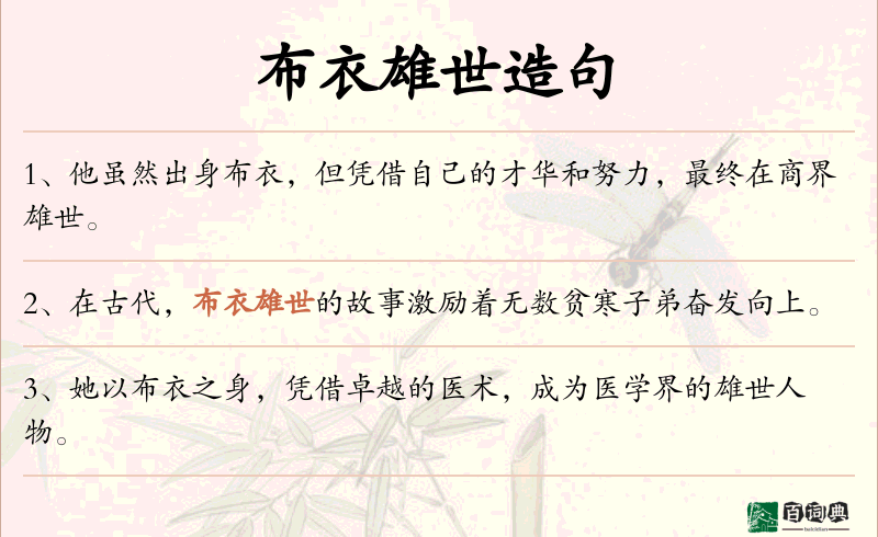 布衣雄世