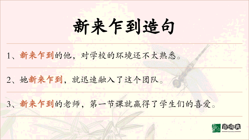 新来乍到