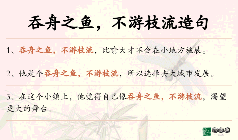 吞舟之鱼，不游枝流