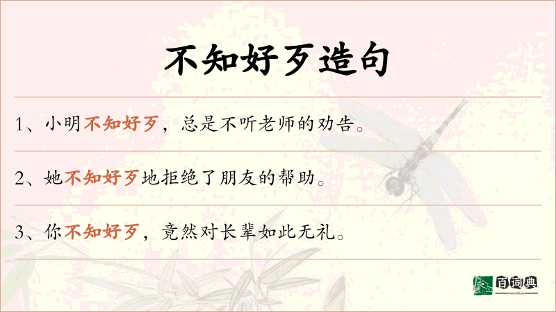 不知好歹