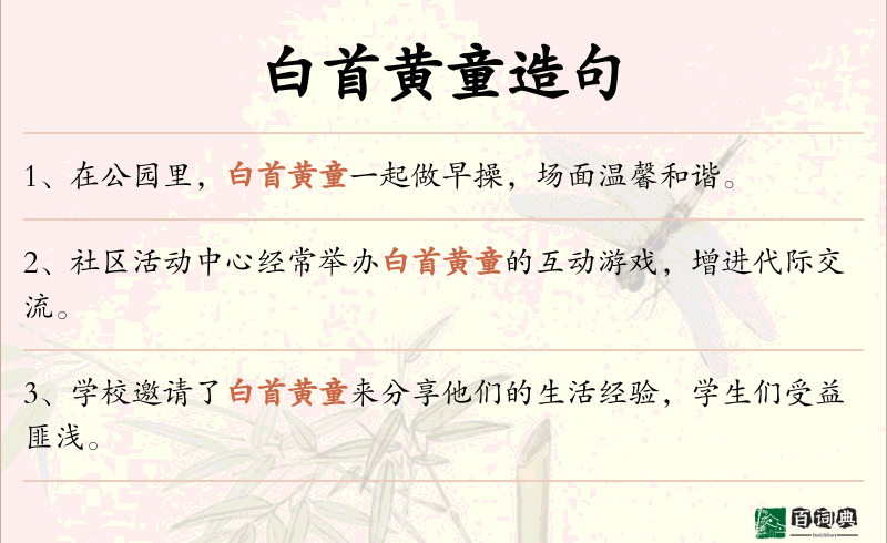 白首黄童