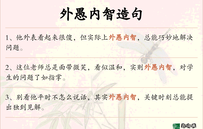 外愚内智