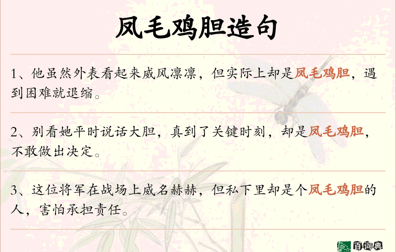 凤毛鸡胆