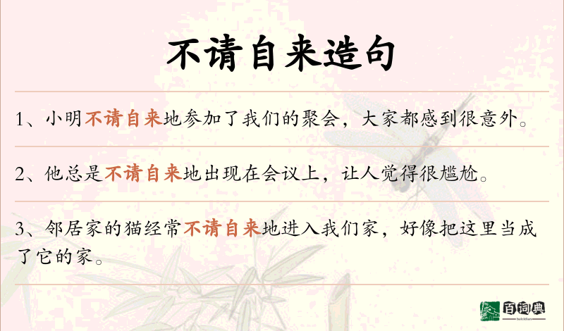 不请自来