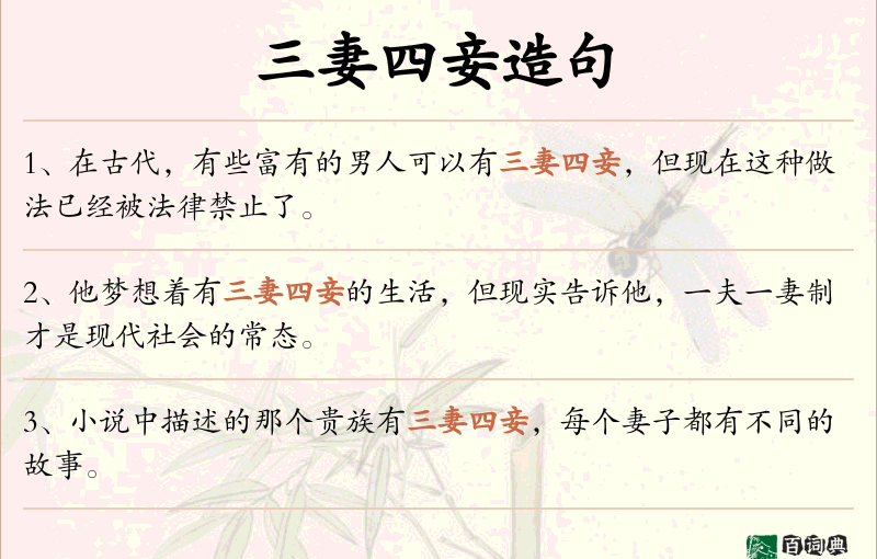 三妻四妾