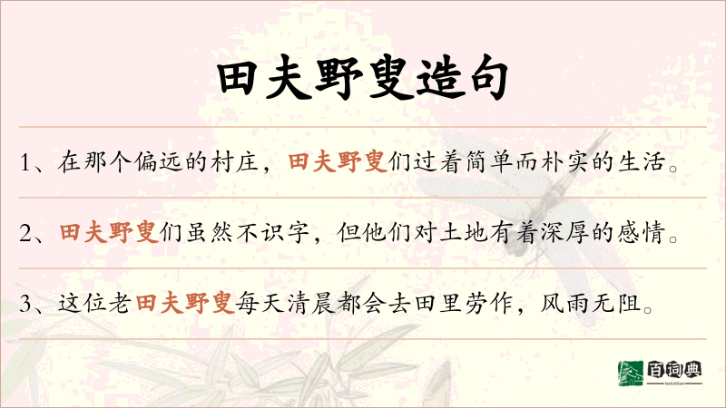 田夫野叟