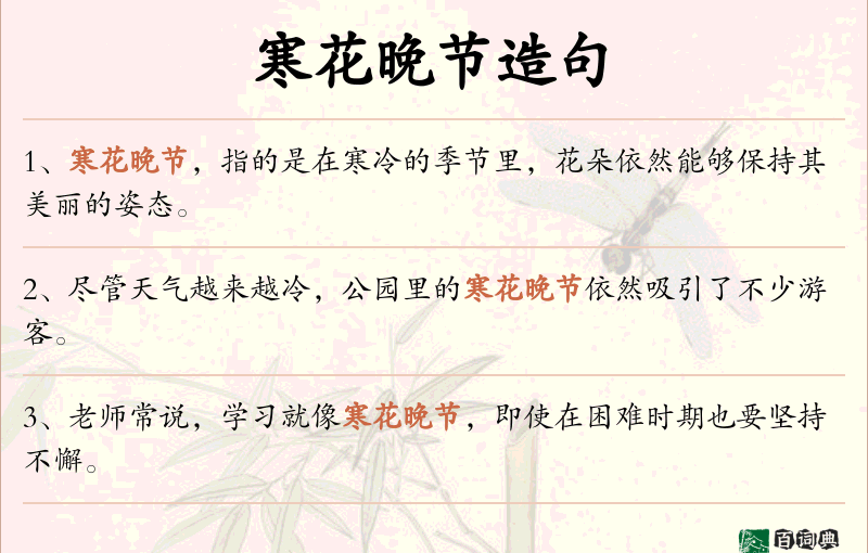 寒花晚节