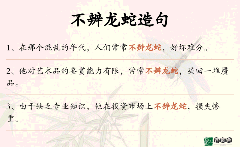 不辨龙蛇