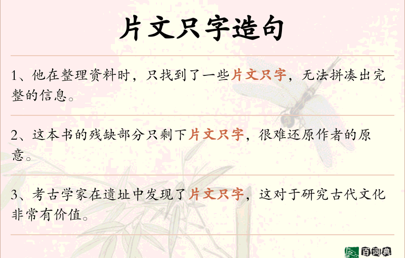 片文只字