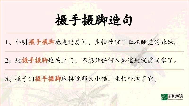 摄手摄脚