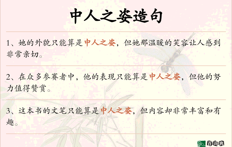 中人之姿